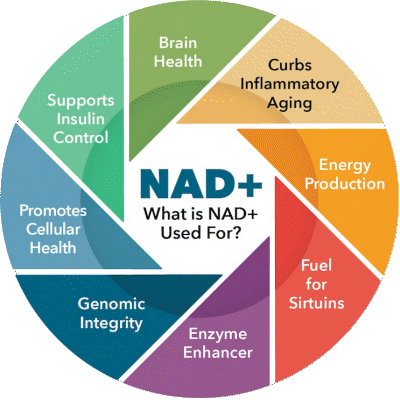 1764955660 NADinfo 1